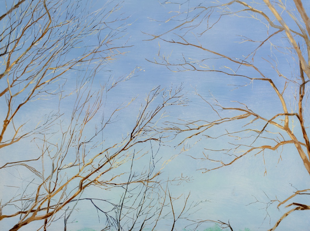 Trees