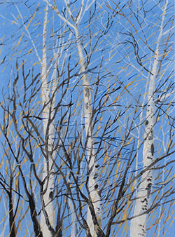 Three Birches